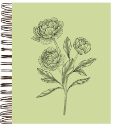 AGENDA 2026 LIKE TO PLAN